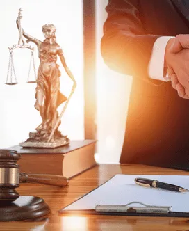 NCLT (Company Law) service